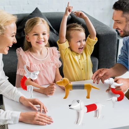 Fun Interactive Pet Toy