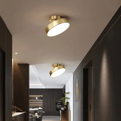 Modern Metal Hanging Light