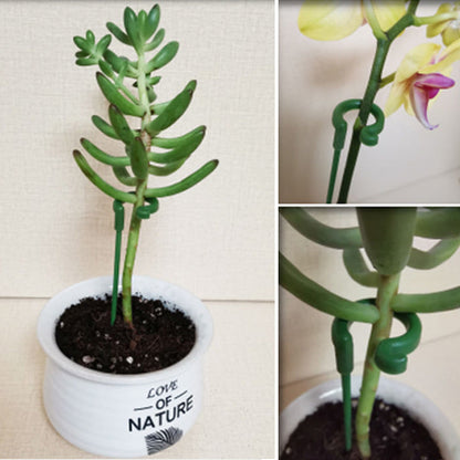 Garden Plant Sturdy Support Sticks (10 Pack)