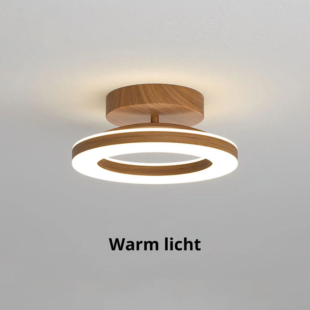 Circular LED Ceiling Light for Hallway and Entryway
