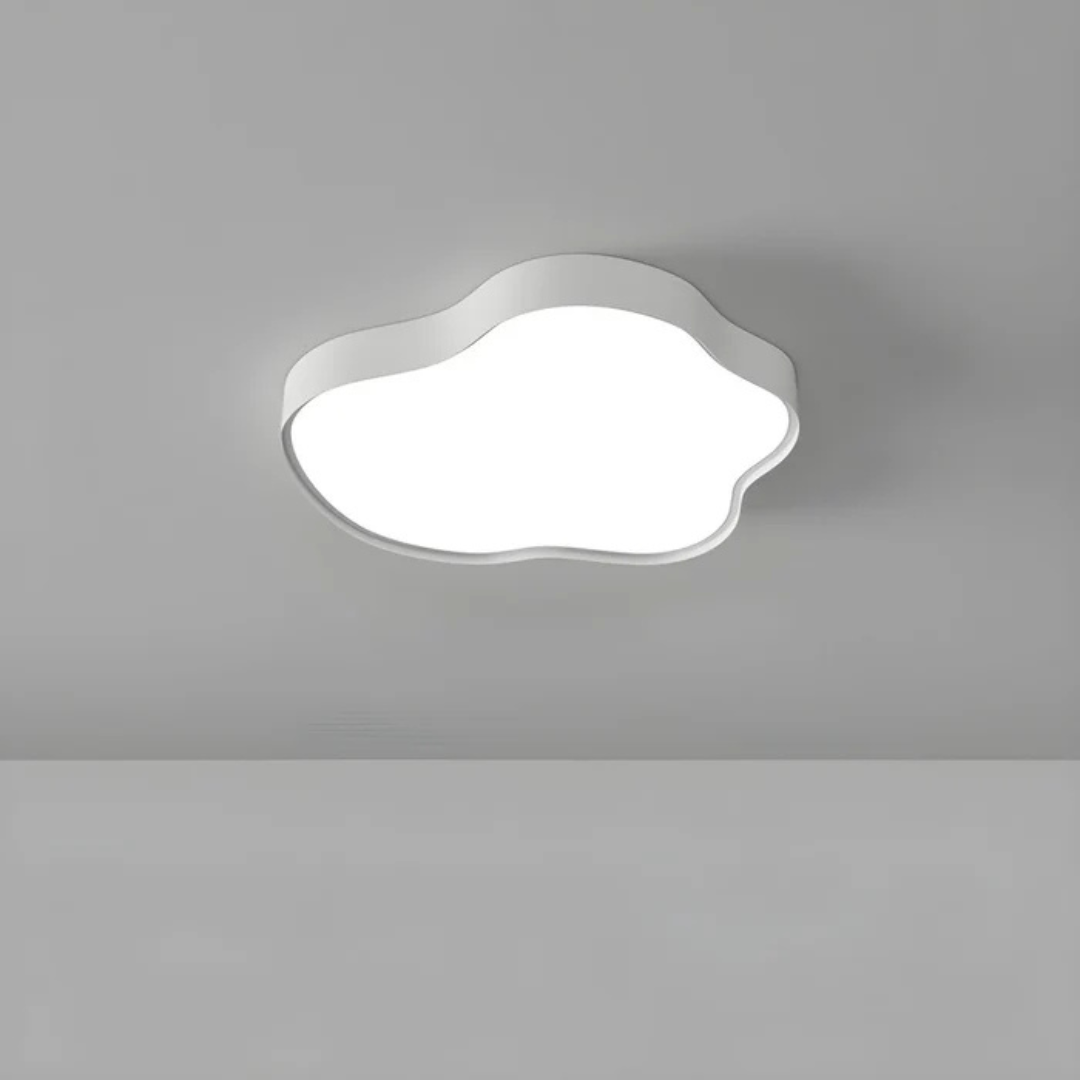 Modern LED Overhead Light