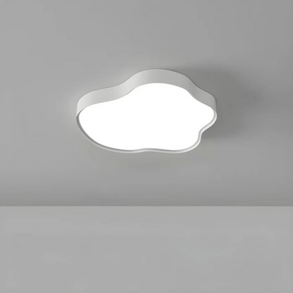 Modern LED Overhead Light