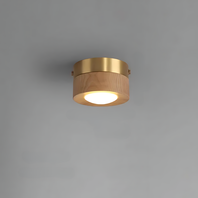 Brown Wood Ceiling Lamp with LED Lights - Fesara