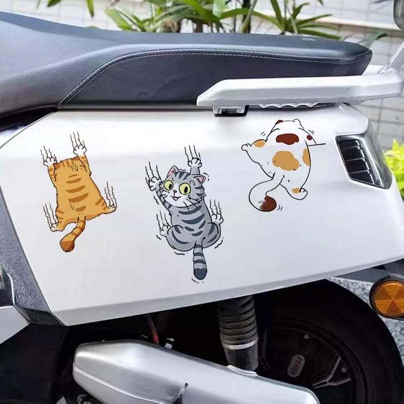 Funny Kitty Car Decal Sticker