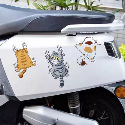 Funny Kitty Car Decal Sticker