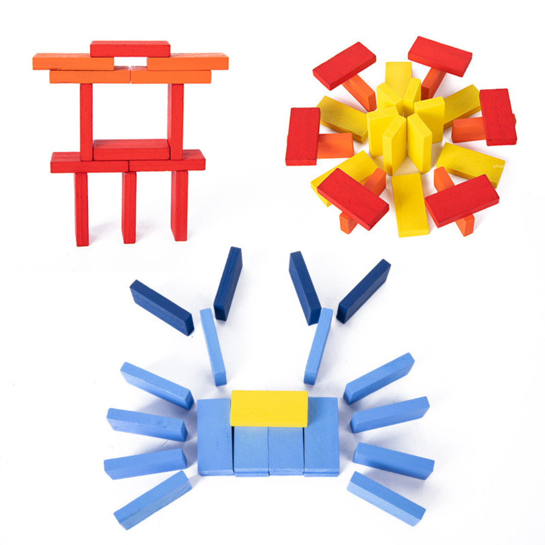 Natural Wood Educational Domino Blocks