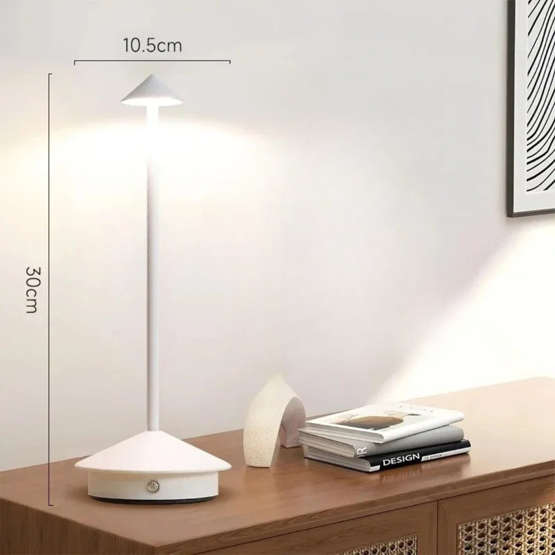 Contemporary Metal Desk LED Portable Table Light