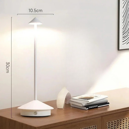 Contemporary Metal Desk LED Portable Table Light