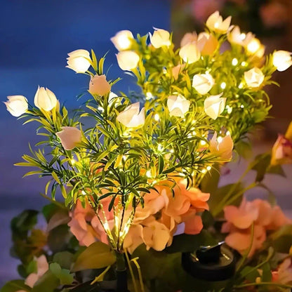 Colorful Solar Powered Garden Lights