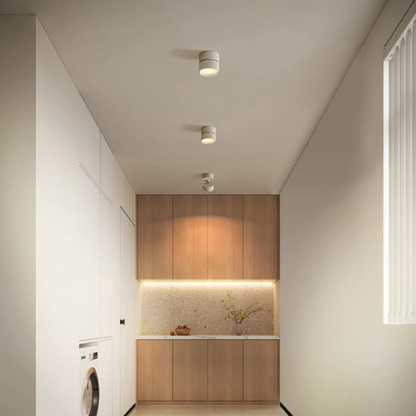 Flexible Dimmable LED Ceiling Light