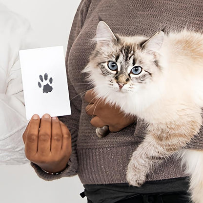 Personalized Pet Paw Photo Frame Kit