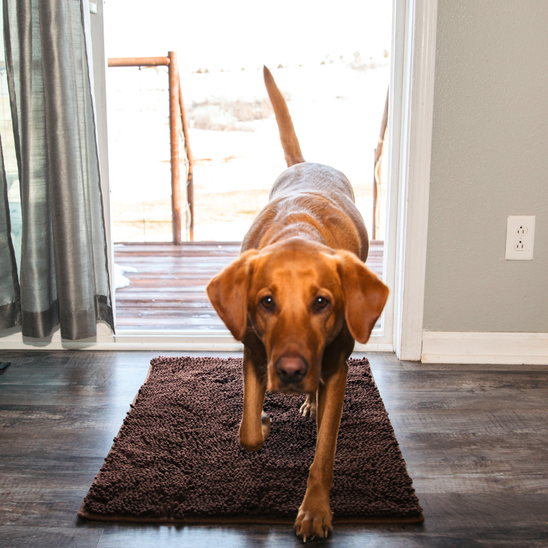 Variant image for Highly Absorbent Dog Mat, Non-Slip Cleaning Mat for All Floor Types, Machine Washable, Durable Design-5