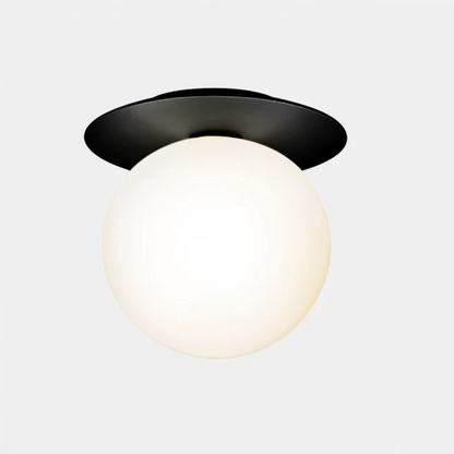 Elegant LED Ceiling and Wall Light Fixture