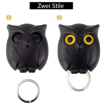 Cute Owl Wall Key Holder