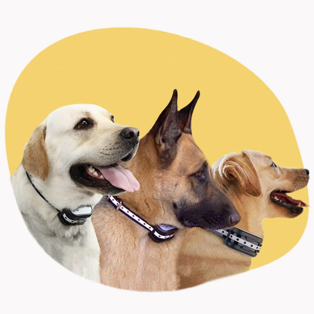 Easy Pet Wireless Fence & Training Collar System