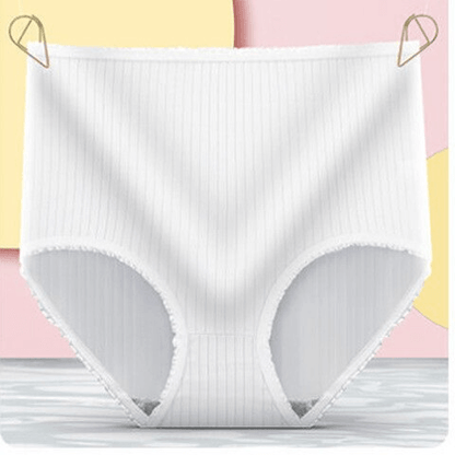 Moisture Wicking Waterproof Briefs 3 Pack
