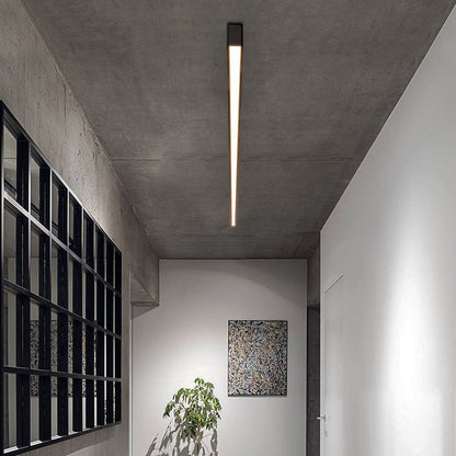 Slim LED Ceiling Lamp Contemporary Home Light Fixtures