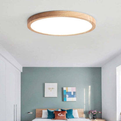 Stylish Slim LED Ceiling Lamp Dimmable Home Light