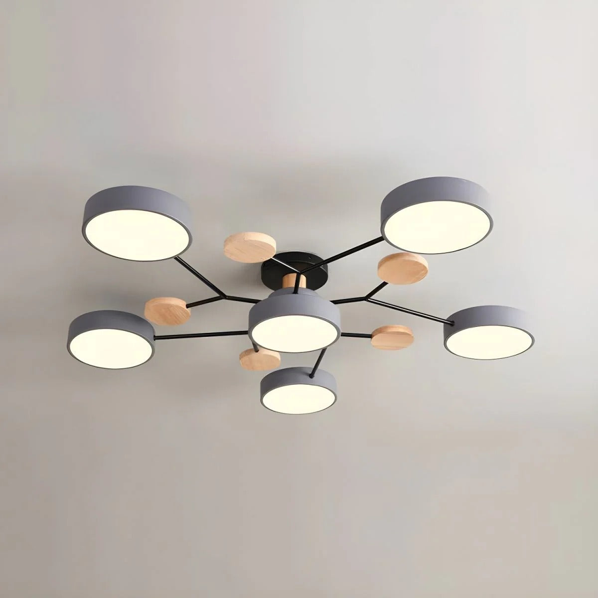 Sleek LED Ceiling Fixture Home Lighting