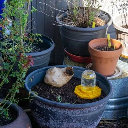 Natural Bee Friendly Garden Habitat