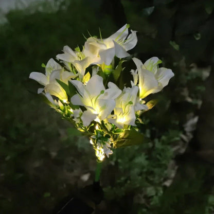 Colorful Solar Powered Garden Lights