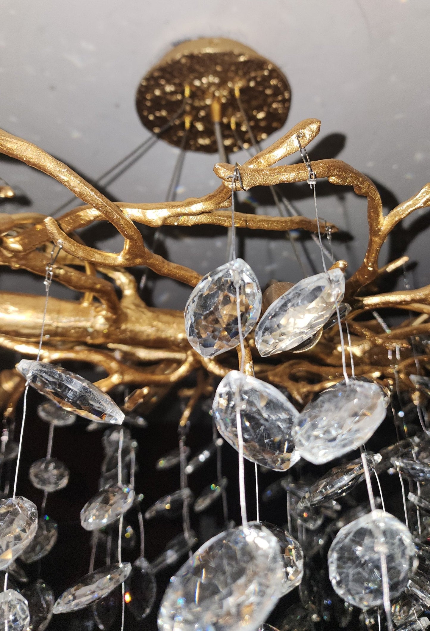 Unique Nature Inspired Hanging Lamp