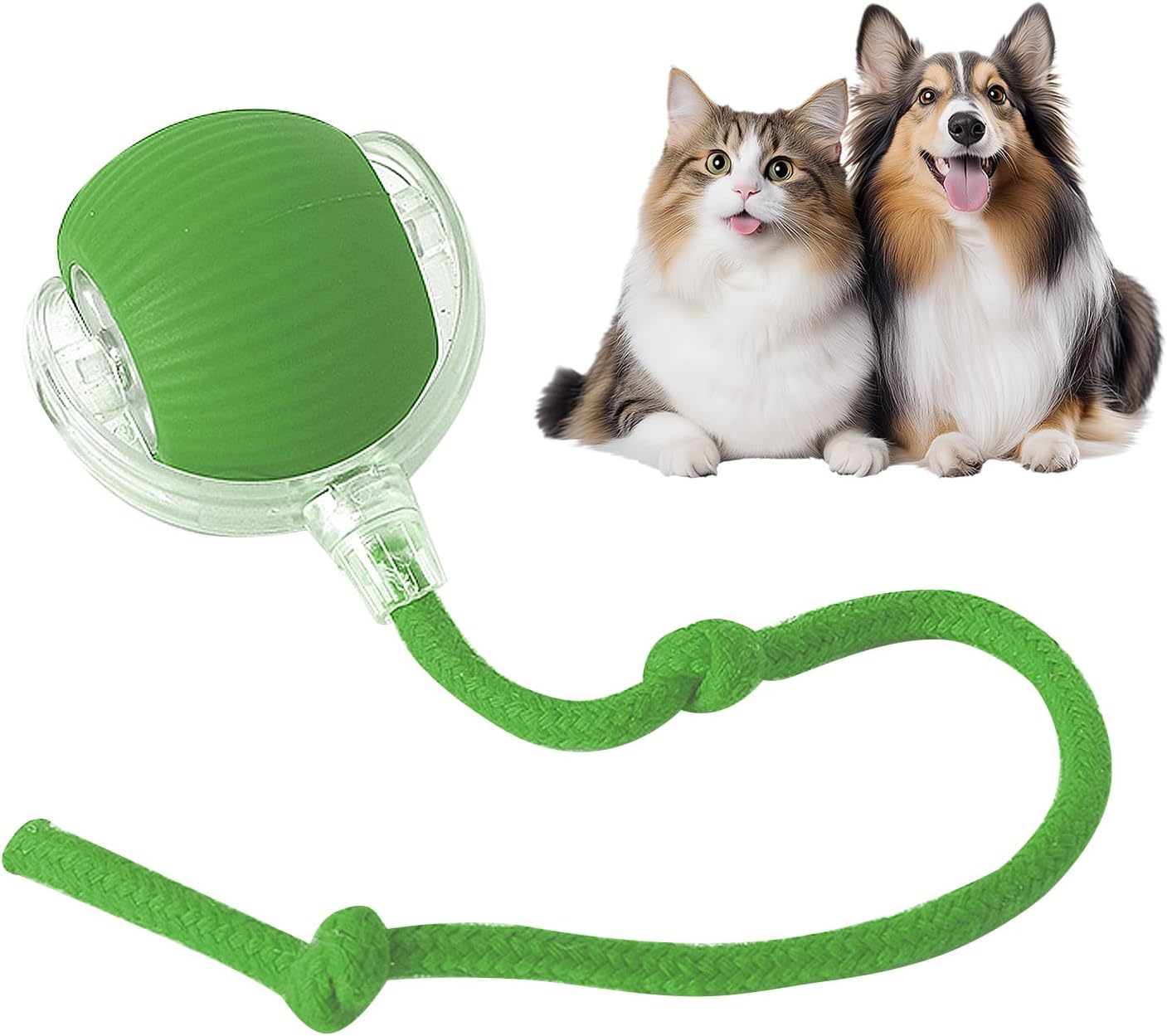 Fun Interactive Pet Toy