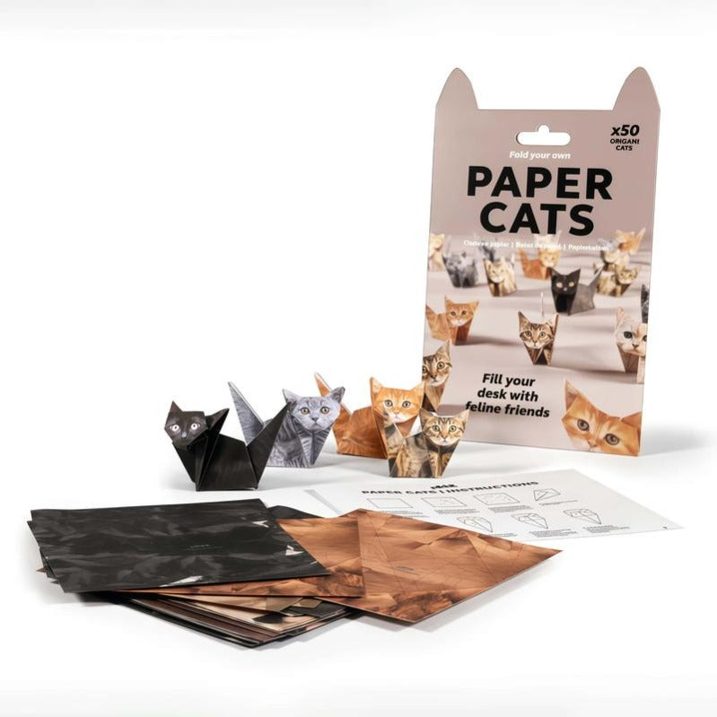 Fun Cat Paper Folding Kit