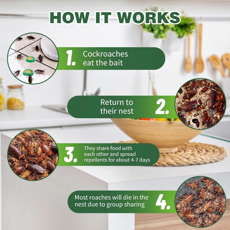 Non-Toxic Home Roach Killer Bait Discs