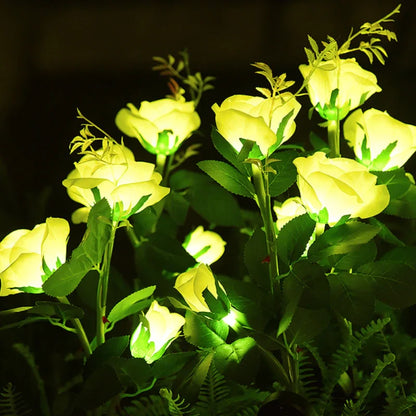 Colorful Solar Powered Garden Lights
