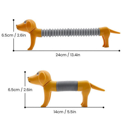 Fun Interactive Pet Toy