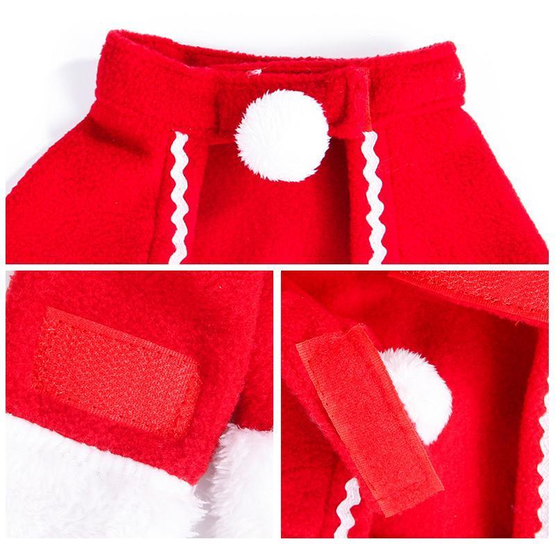 Fun Holiday Pet Costumes