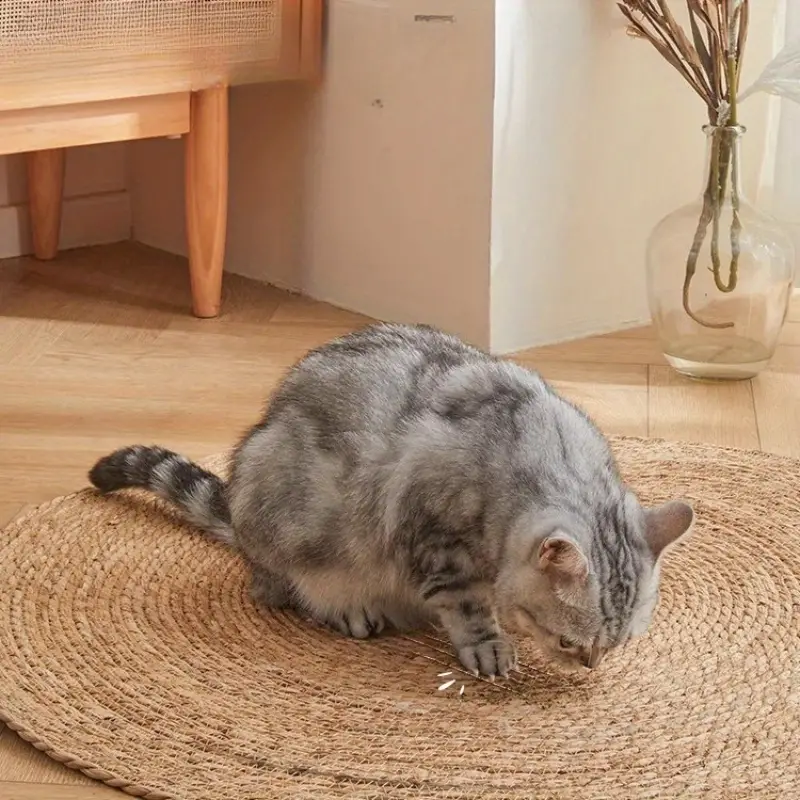 Fesara | KrazeLuxe Matte - Durable Scratch Pad for Cats