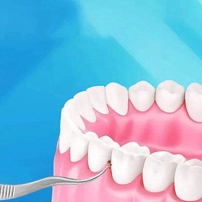 Eco Friendly Dental Care Kit with Durable Steel Tools