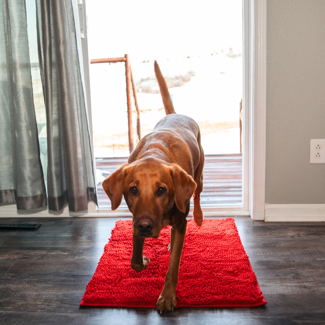Variant image for Highly Absorbent Dog Mat, Non-Slip Cleaning Mat for All Floor Types, Machine Washable, Durable Design-9