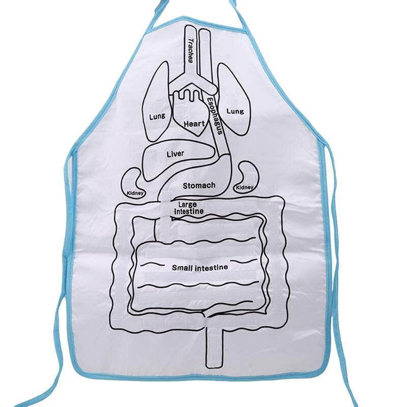 Fun Human Body Apron for Kids