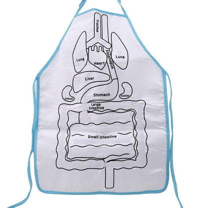 Fun Human Body Apron for Kids