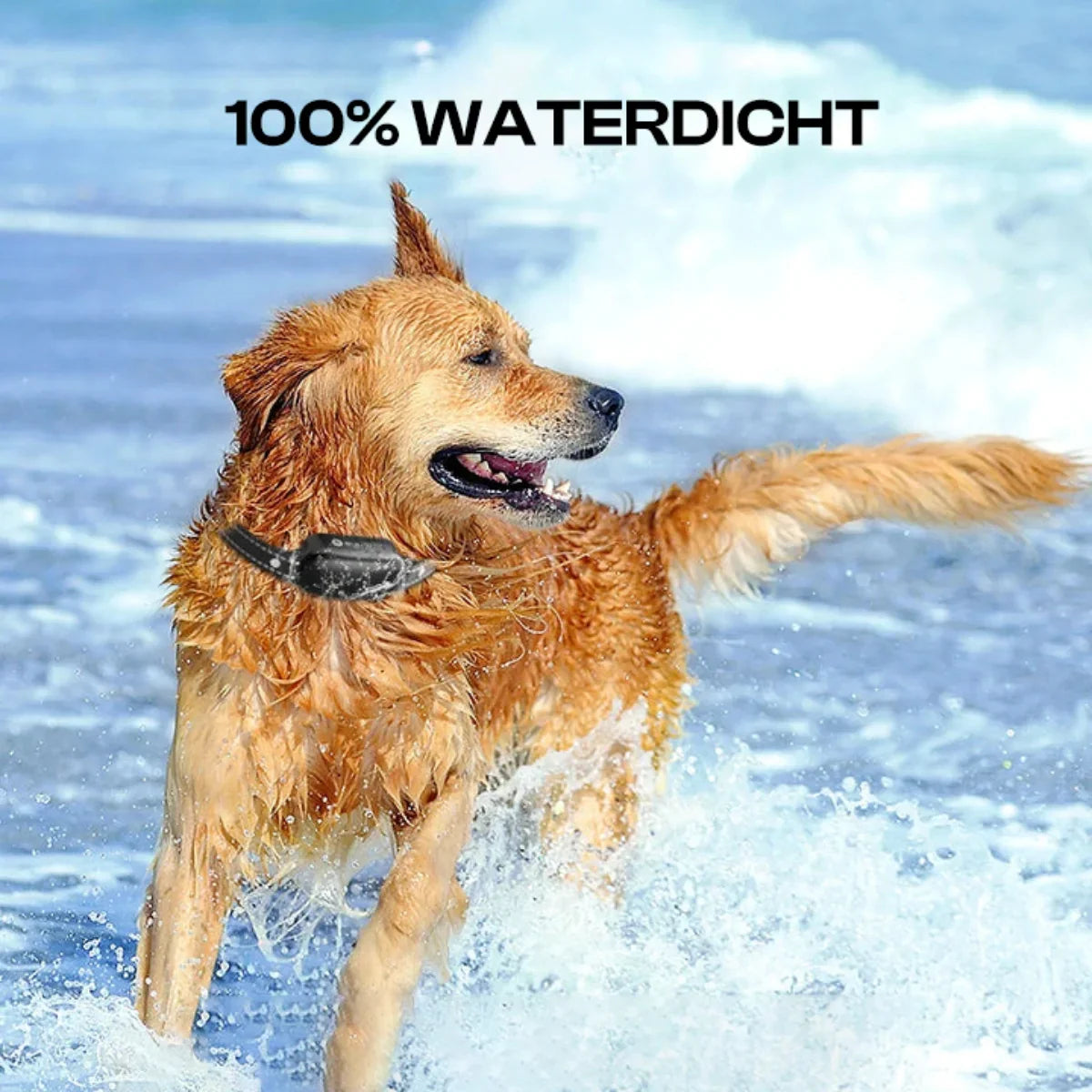 Electric Dog Training Collar with Remote Control, Waterproof, 16 Adjustable Shock Levels, 1000m Range, Beep & Vibration Modes-5