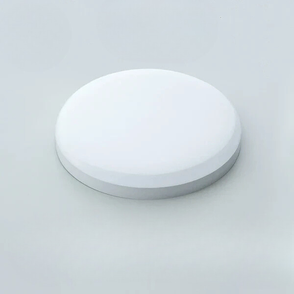 Waterproof Ceiling Light for Damp Spaces