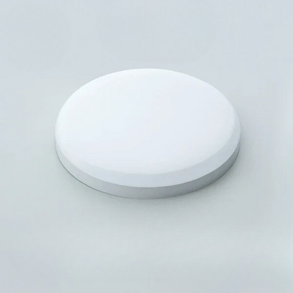 Waterproof Ceiling Light for Damp Spaces