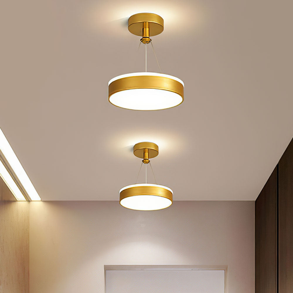 Sleek Modern Black Gold Pendant Light