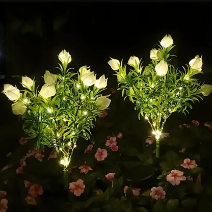 Colorful Solar Powered Garden Lights