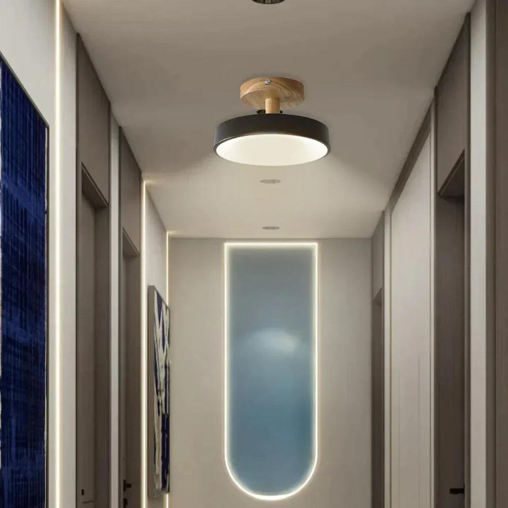 Slim Contemporary LED Ceiling Light - Fesara