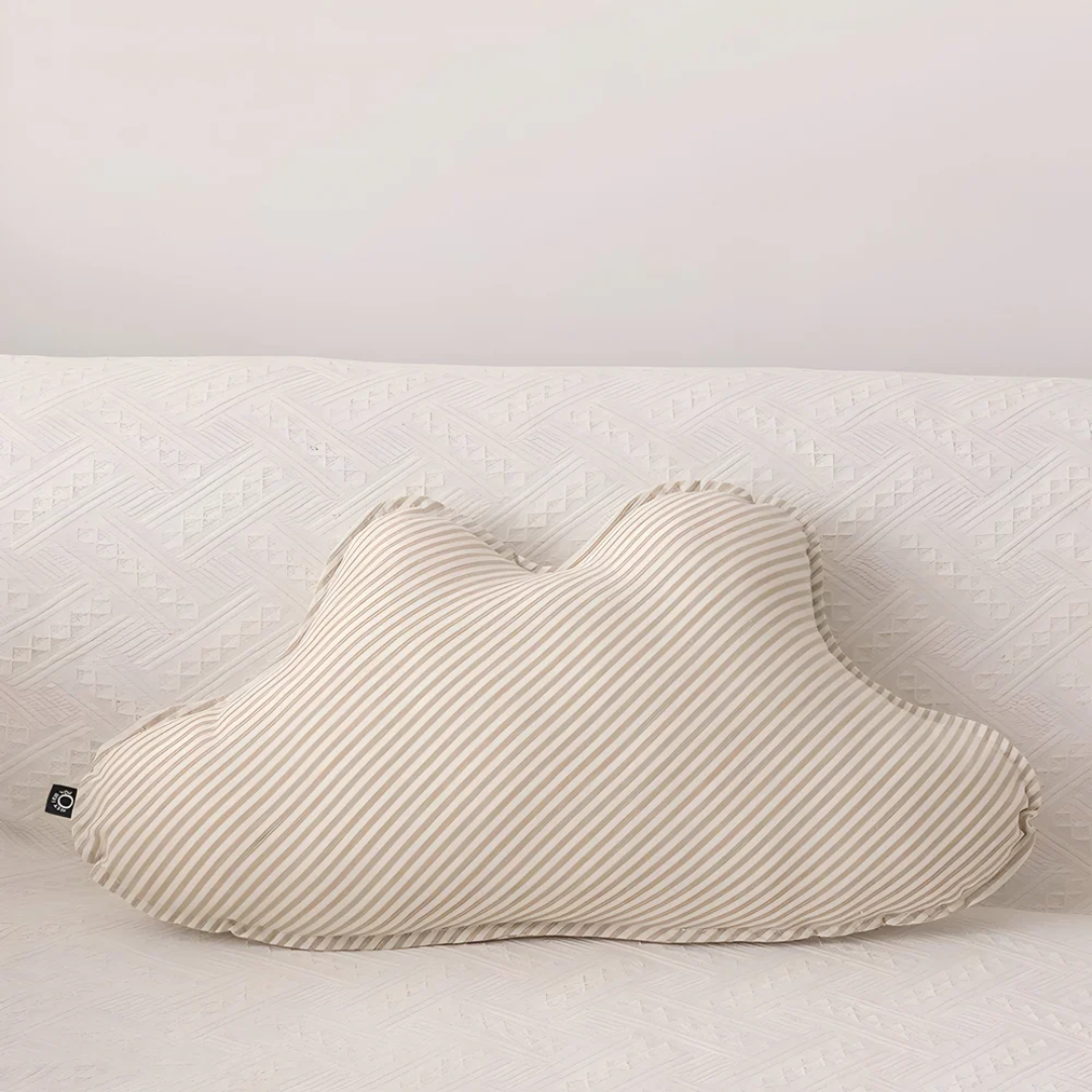 Plush Home Accent Pillow