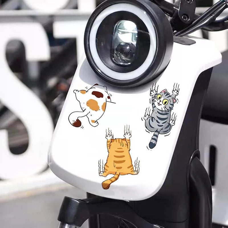 Funny Kitty Car Decal Sticker
