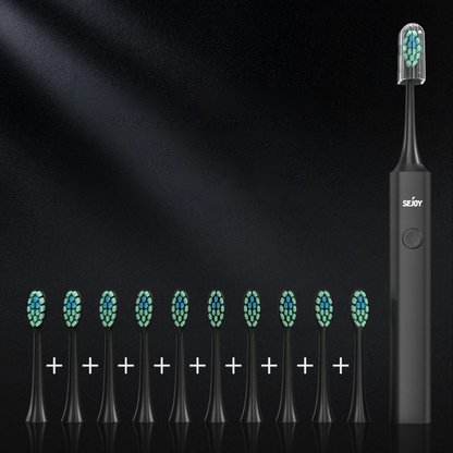 Electric Toothbrush with Replaceable Heads