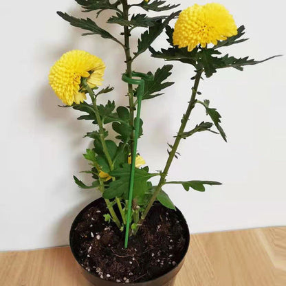 Garden Plant Sturdy Support Sticks (10 Pack)