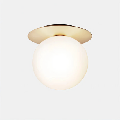 Elegant LED Ceiling and Wall Light Fixture