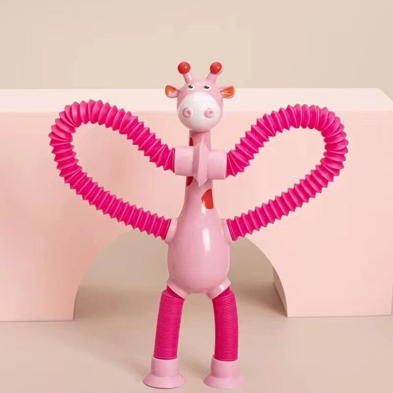 Fun Interactive Pet Toy