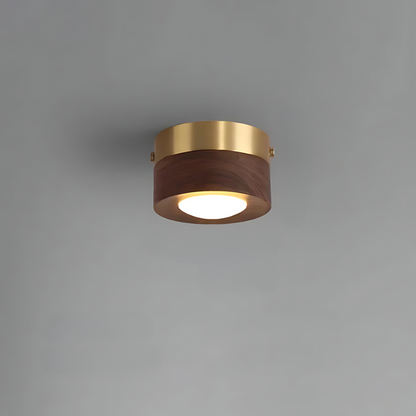 Brown Wood Ceiling Lamp with LED Lights